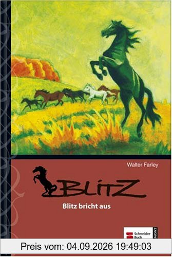 Blitz, Band 05: Blitz bricht aus
