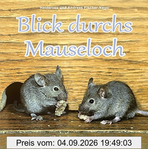 Blick durchs Mauseloch