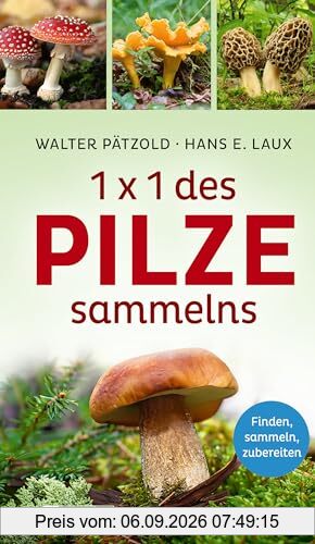 1 x 1 des Pilzesammelns: Finden, sammeln, zubereiten