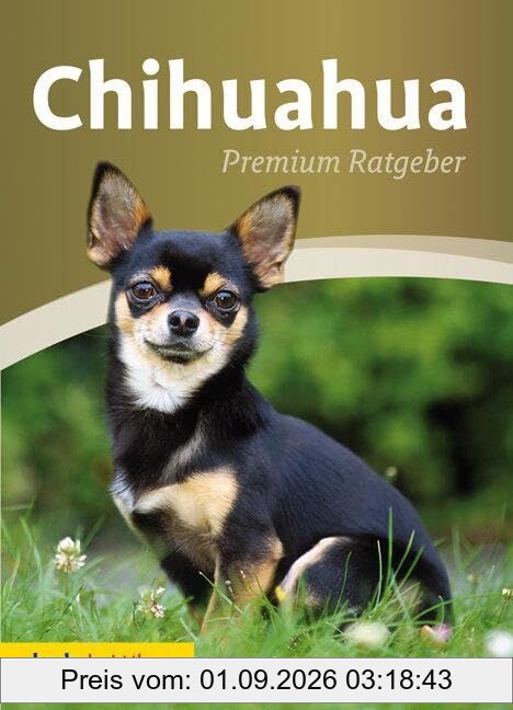Chihuahua