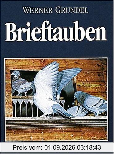 Brieftauben