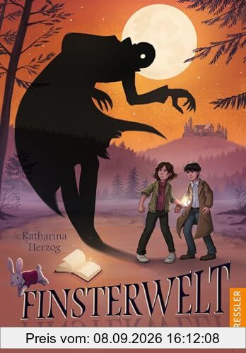 Finsterwelt 3. Die märchenhafte Zeitreise: Fantasievolles Abenteuer-Buch für Kinder ab 10 Jahren über Freundschaft, Mut und Zusammenhalt