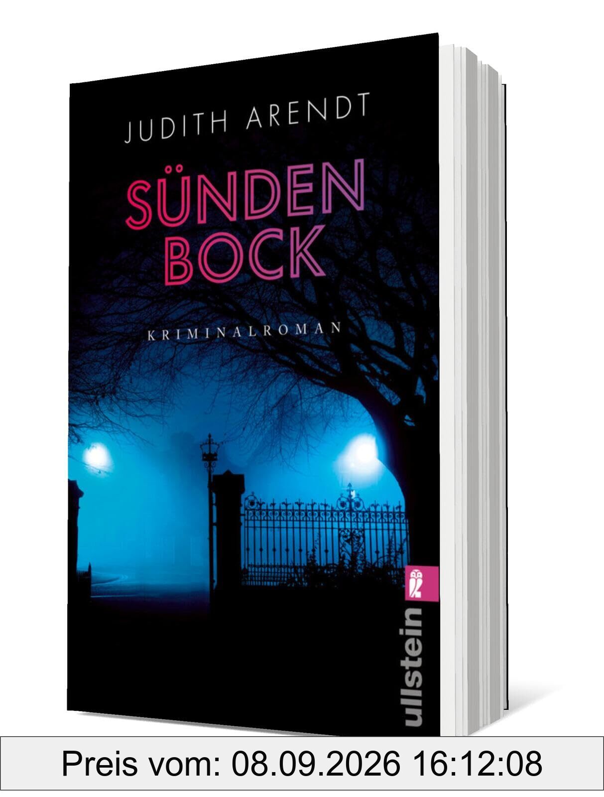 Sündenbock: Kriminalroman | Eine Schöffin mit Gerechtigkeitssinn und Mitgefühl (Ein Fall für Schöffin Ruth Holländer, Band 2)