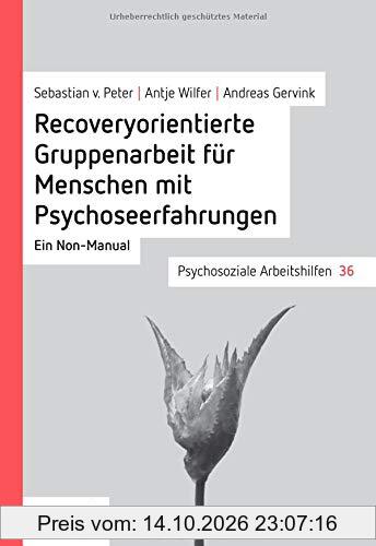 Recoveryorientierte Gruppenarbeit für Menschen mit Psychoseerfahrungen: Ein Non-Manual (Psychosoziale Arbeitshilfen)