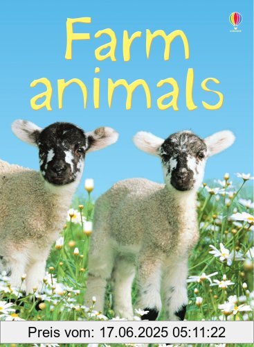 Binding : Gebundene Ausgabe, Edition : New ed., Label : Usborne Publishing Ltd, Publisher : Usborne Publishing Ltd, NumberOfItems : 1, medium : Gebundene Ausgabe, numberOfPages : 32, publicationDate : 2007-01-26, authors : Katie Daynes, languages : english, ISBN : 074607476X