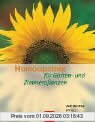 Homöopathie für Garten- und Zimmerpflanzen