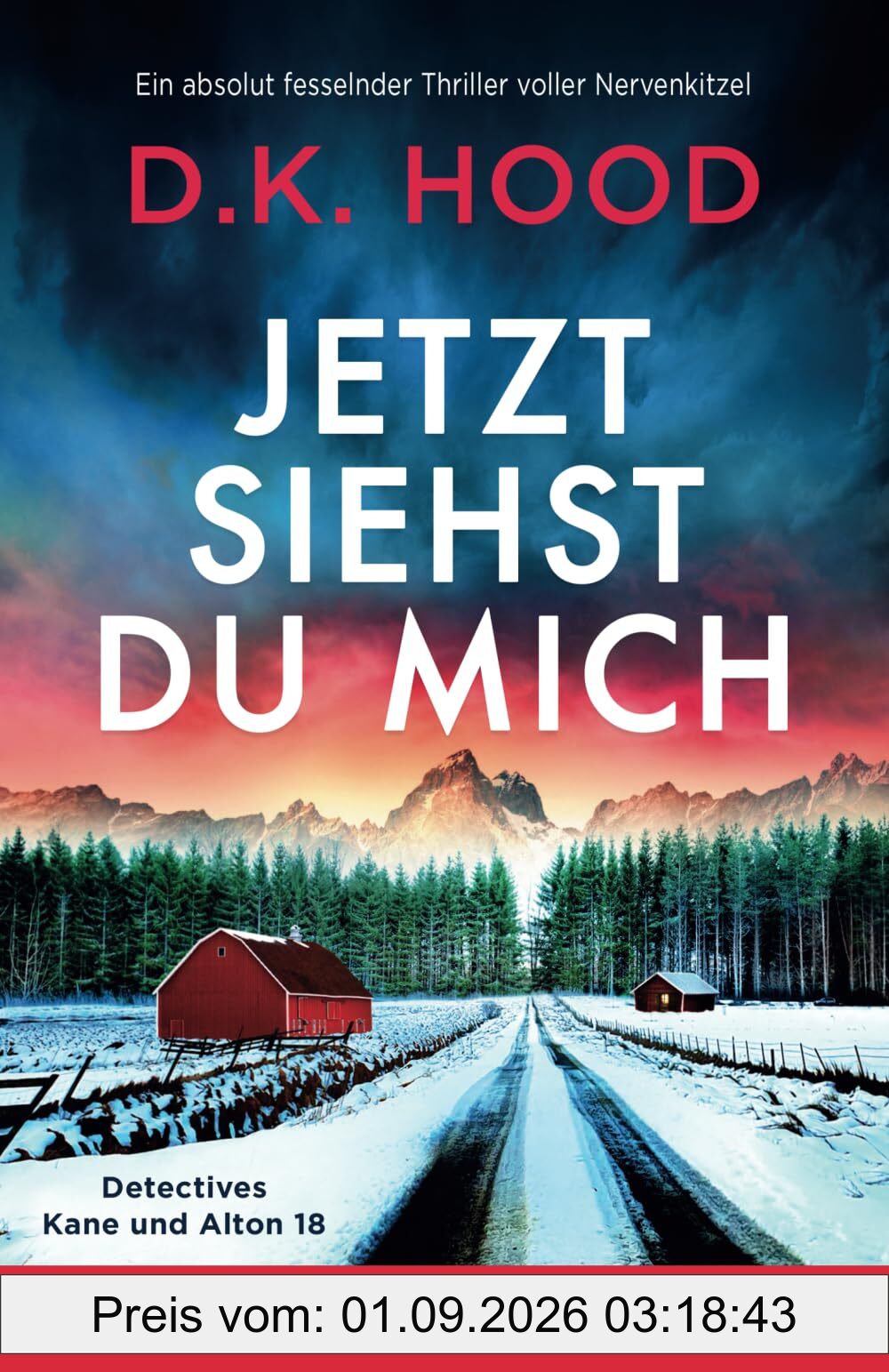 Jetzt siehst du mich: Ein absolut fesselnder Thriller voller Nervenkitzel (Detectives Kane und Alton, Band 18)