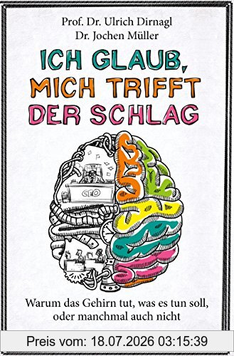 Ulrich Dirnagl Ich Glaub, Mich Trifft Der Schlag, Warum Das Gehirn Tut, Was Es Tun Soll, Oder Manchmal Auch Nicht