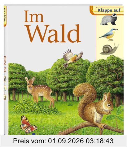 Klappe auf. Im Wald