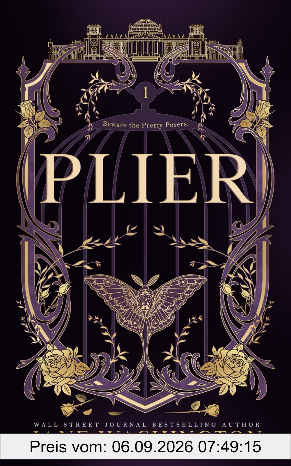 Plier (Ironside Academy, Band 1)
