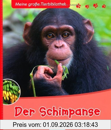 Der Schimpanse
