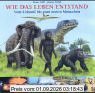 Wie das Leben entstand: Vom Urknall bis zum ersten Menschen