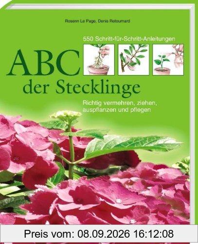 ABC der Stecklinge: Richtig vermehren, ziehen, auspflanzen und pflegen