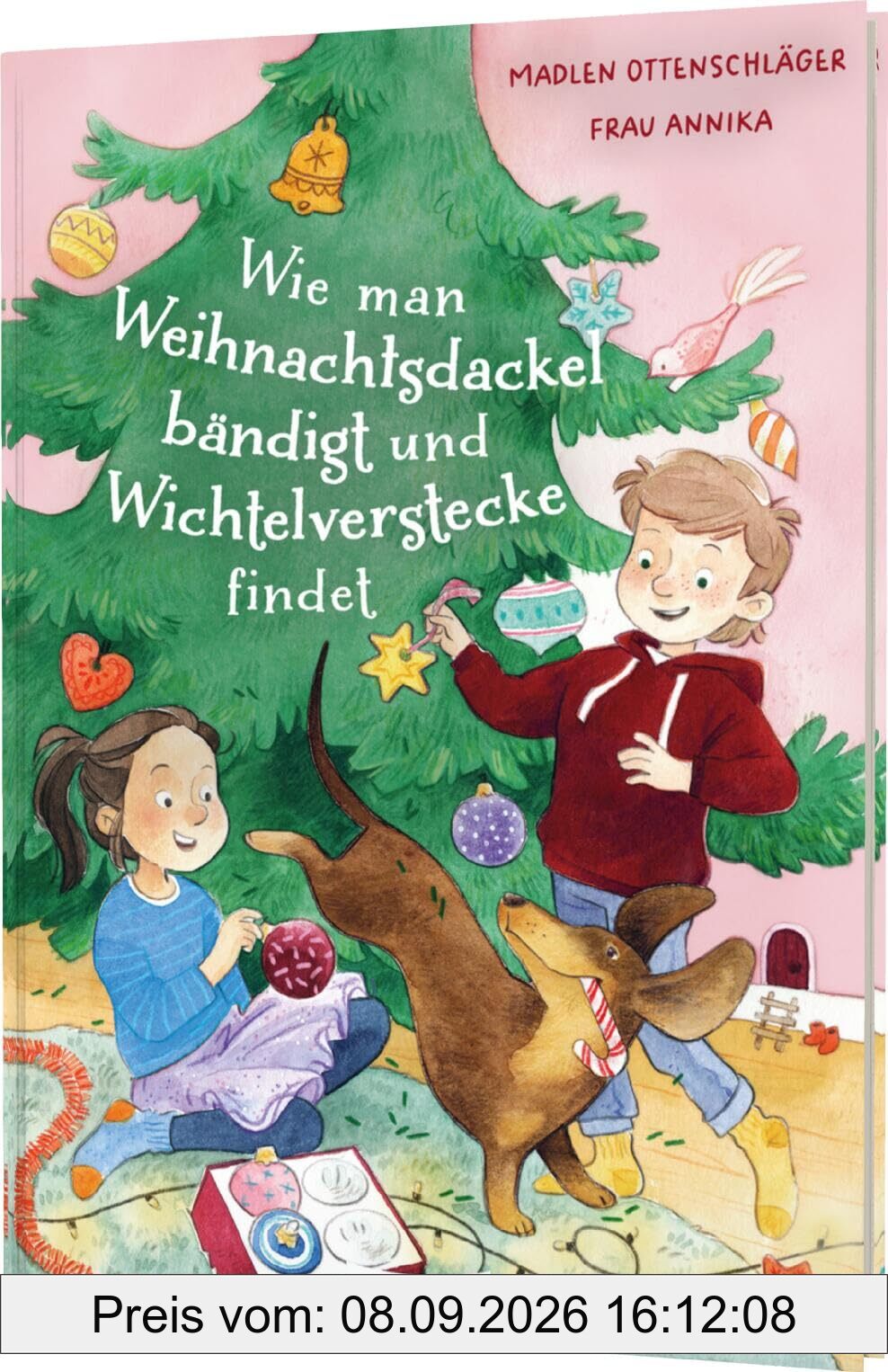 Wie man Weihnachtsdackel bändigt und Wichtelverstecke findet: Vorlesegeschichten zur Weihnachtszeit