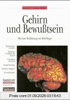 Gehirn und Bewusstsein
