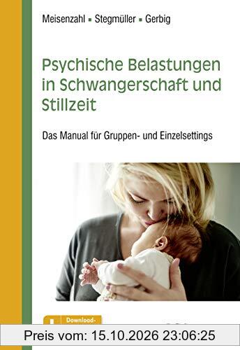 Psychische Belastungen in Schwangerschaft und Stillzeit: Das Manual für Gruppen- und Einzelsettings