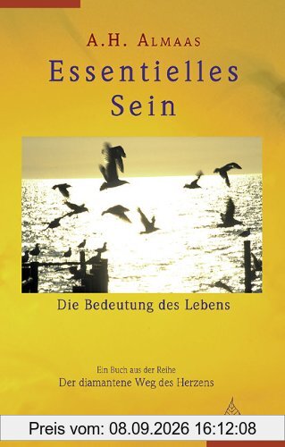Essentielles Sein, Die Bedeutung des Lebens