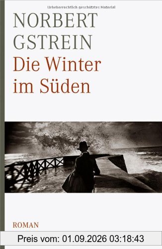 Die Winter im Süden: Roman