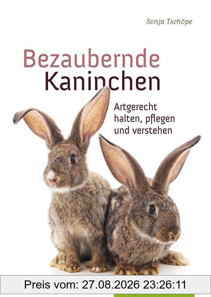 Bezaubernde Kaninchen