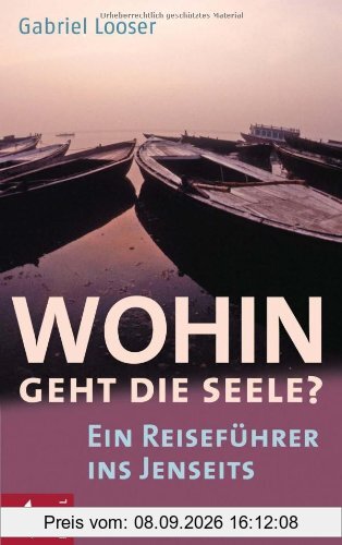 Wohin geht die Seele?: Ein Reiseführer ins Jenseits: Ein ReisefÃ1/4hrer ins Jenseits
