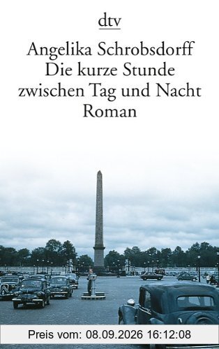 Die kurze Stunde zwischen Tag und Nacht: Roman