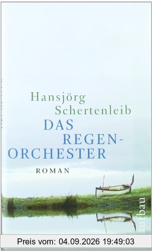 Das Regenorchester: Roman