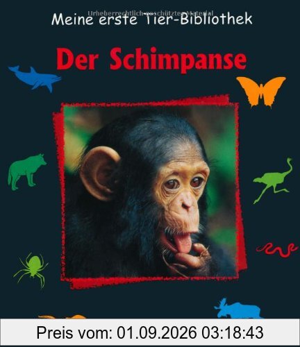 Der Schimpanse