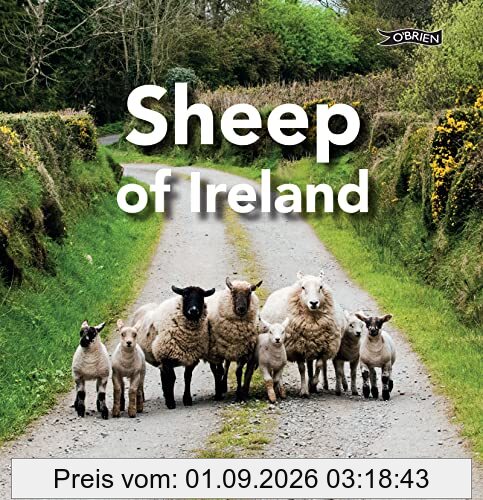 Sheep of Ireland