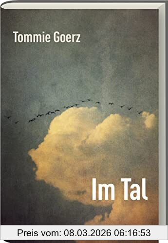 Tommie Goerz Im Tal, Roman