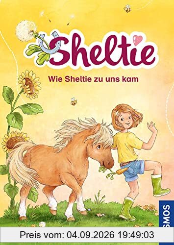 Sheltie - Wie Sheltie zu uns kam