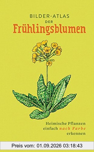 Bilder-Atlas der Frühlingsblumen: Heimische Pflanzen einfach nach Farbe erkennen