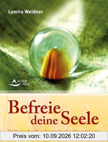 Befreie deine Seele - Heilung durch schamanische Kinesiologie: Praxisbuch zur Befreiung der Seele