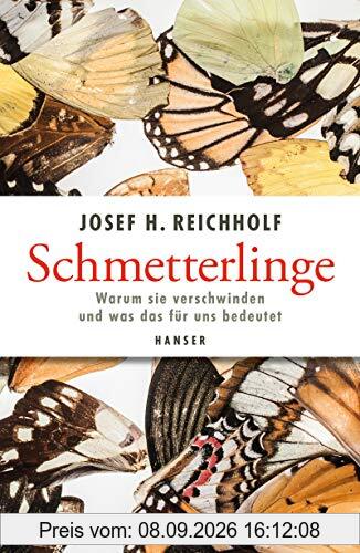 Schmetterlinge: Warum sie verschwinden und was das für uns bedeutet