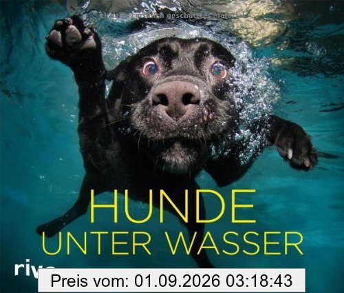 Hunde unter Wasser