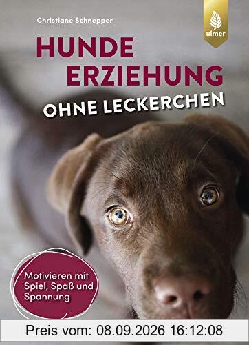 Hundeerziehung ohne Leckerchen: Motivieren mit Spiel, Spaß und Spannung