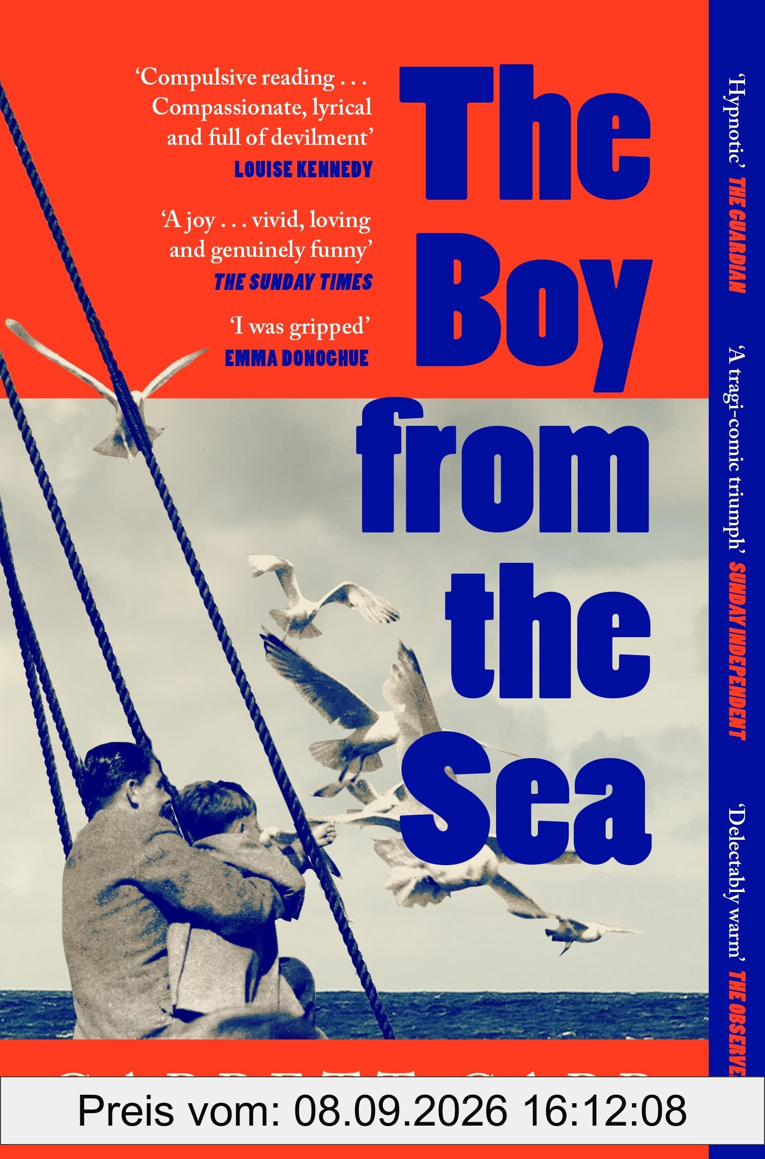 The Boy from the Sea: the heart-wrenching story of an ordinary town and an extraordinary boy