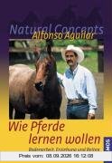 Wie Pferde lernen wollen: Bodenarbeit, Erziehung und Reiten