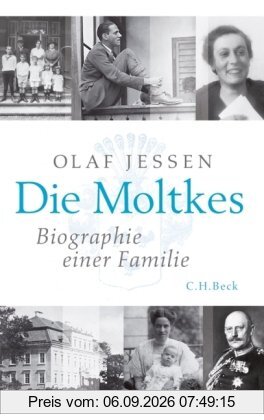 Die Moltkes: Biographie einer Familie