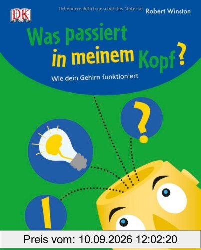 Was passiert in meinem Kopf? So funktioniert dein Gehirn