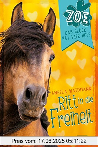 Binding : Gebundene Ausgabe, Label : Arena, Publisher : Arena, medium : Gebundene Ausgabe, numberOfPages : 200, publicationDate : 2016-07-18, authors : Angela Waidmann, languages : german, ISBN : 3401602055