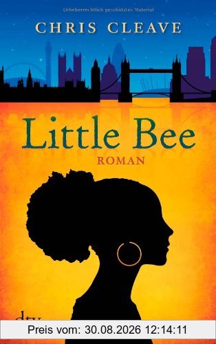 Little Bee: Roman