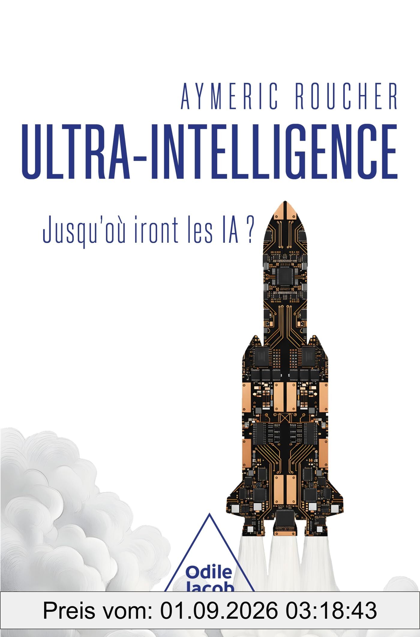 Ultra-intelligence : jusqu'où iront les IA ?