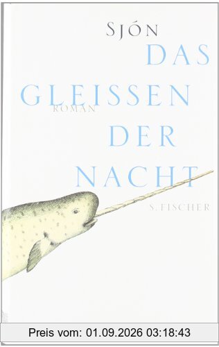 Das Gleißen der Nacht: Roman