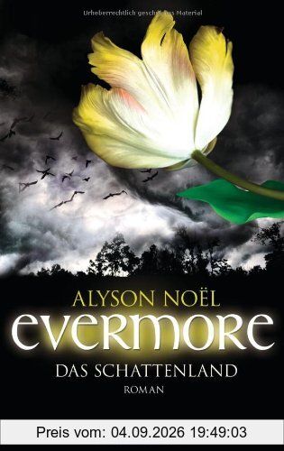 Evermore 3 - Das Schattenland: Roman