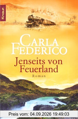 Jenseits von Feuerland : Roman