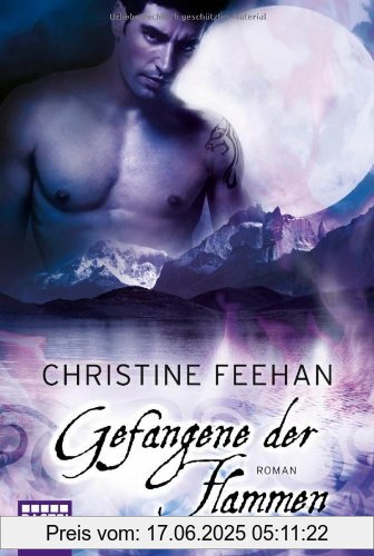 Binding : Taschenbuch, Edition : Aufl. 2013, Label : Bastei Lübbe (Bastei Lübbe Taschenbuch), Publisher : Bastei Lübbe (Bastei Lübbe Taschenbuch), medium : Taschenbuch, numberOfPages : 528, publicationDate : 2013-09-20, authors : Christine Feehan, translators : Ulrike Moreno, languages : german, ISBN : 3404168488