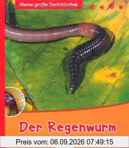 Meine große Tierbibliothek: Der Regenwurm