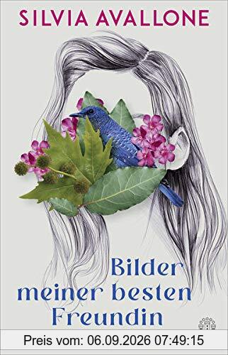 Bilder meiner besten Freundin: Roman