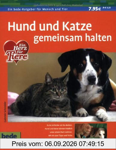 Hund und Katze gemeinsam halten zu Hause