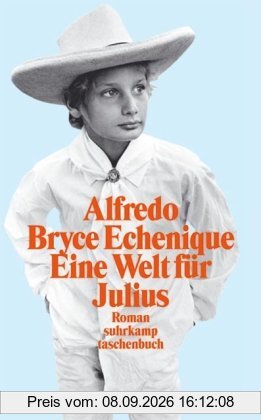 Eine Welt für Julius: Roman (suhrkamp taschenbuch)